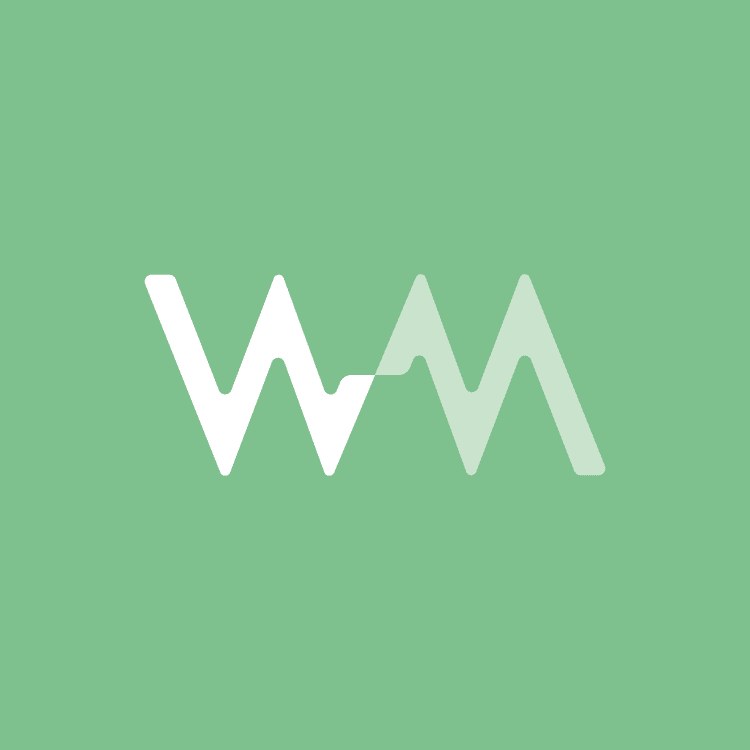 Welmatch logo